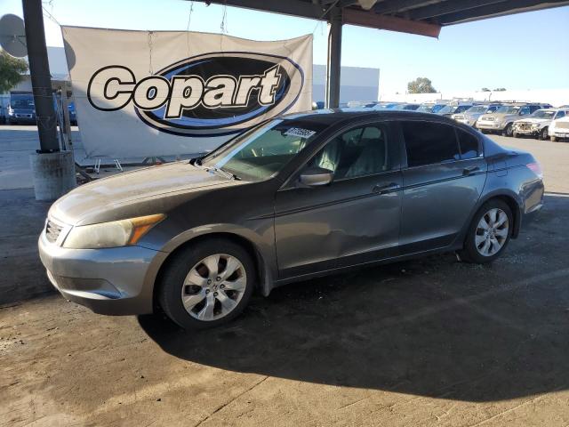 2009 HONDA ACCORD EX, 