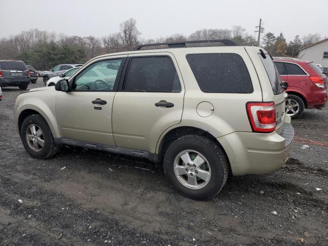 1FMCU9D72BKC11281 - 2011 FORD ESCAPE XLT GOLD photo 2