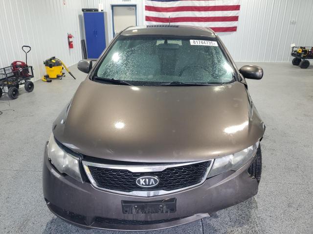 KNAFU4A29D5647377 - 2013 KIA FORTE EX BROWN photo 5