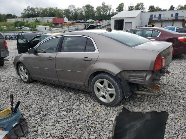 1G1ZB5E08CF223632 - 2012 CHEVROLET MALIBU LS Marrón foto 2