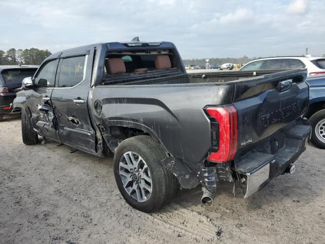 5TFMA5DB1PX075590 - 2023 TOYOTA TUNDRA CREWMAX PLATINUM Boz foto 2