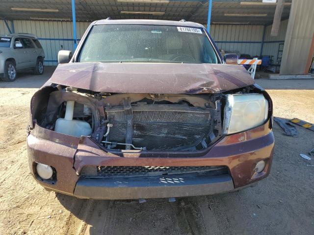 5FNYF4H61BB015466 - 2011 HONDA PILOT EXL 栗色 照片 5