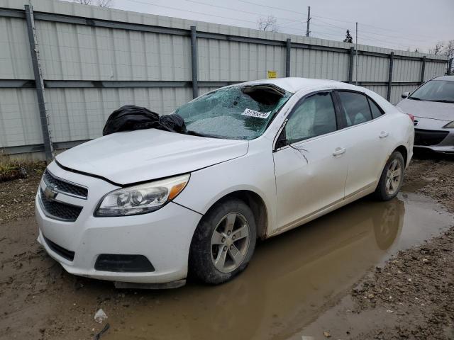 1G11C5SA9DF144138 - 2013 CHEVROLET MALIBU 1LT Ақ фото 1