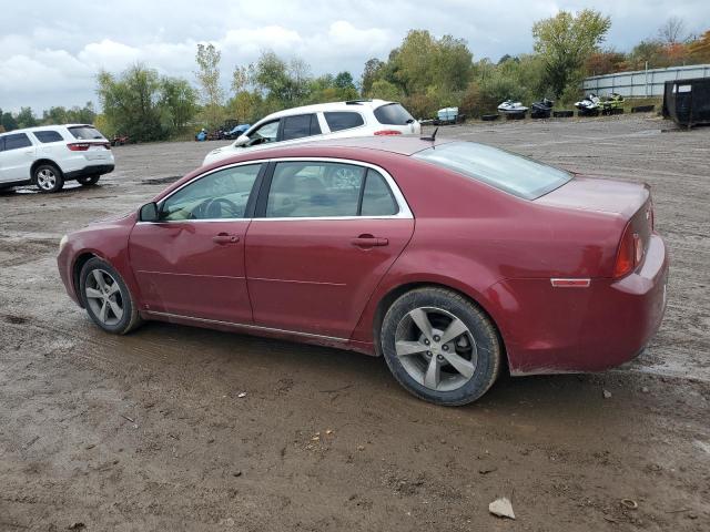 1G1ZJ57B49F206451 - 2009 CHEVROLET MALIBU 2LT 红色 照片 2