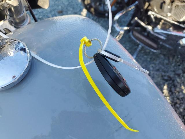 1HD1BVJ16RB040375 - 2024 HARLEY-DAVIDSON FXST ორფეროვანი ფოტო 8