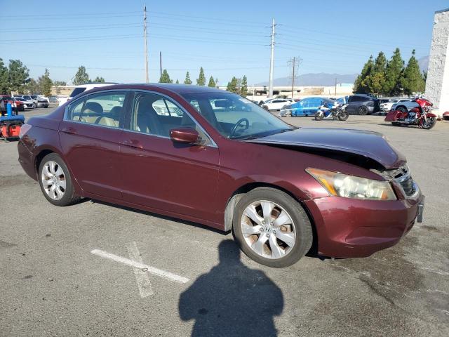 1HGCP26839A028367 - 2009 HONDA ACCORD EXL 勃艮第红 照片 4