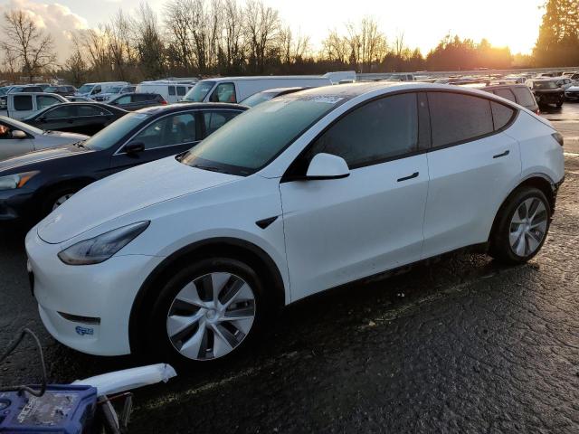 2021 TESLA MODEL Y, 