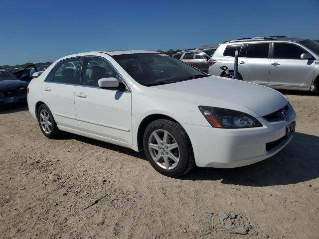 1HGCM66534A069158 - 2004 HONDA ACCORD EX Ağ foto 4