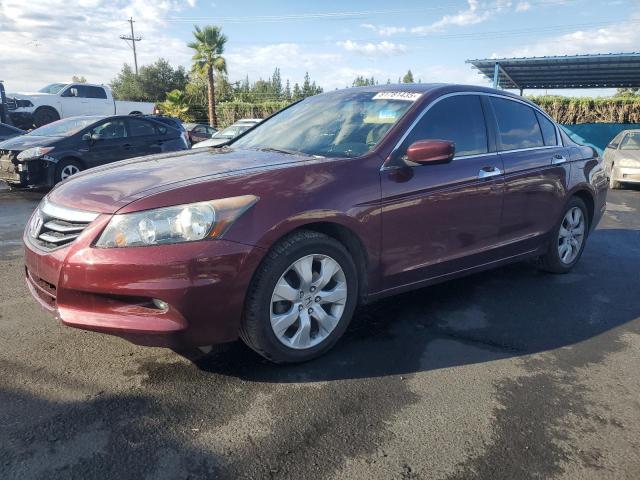2011 HONDA ACCORD EXL, 