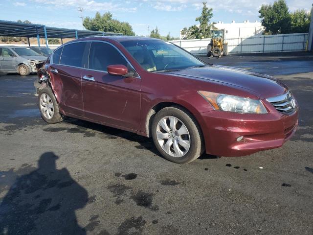 1HGCP3F82BA000944 - 2011 HONDA ACCORD EXL Burdeos foto 4