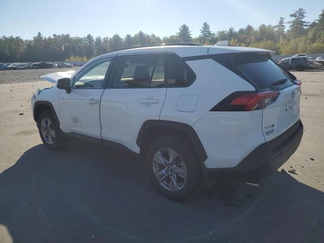 2T3P1RFV3PC352774 - 2023 TOYOTA RAV4 XLE Blanc photo 2