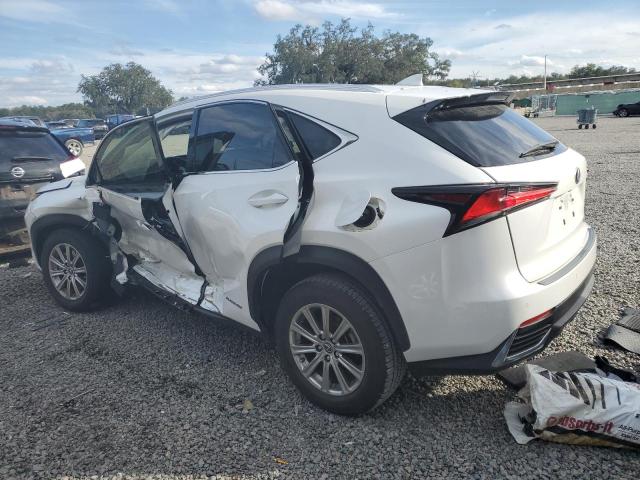 JTJDJRDZ4L5004469 - 2020 LEXUS NX 300H WHITE photo 2