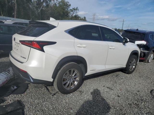 JTJDJRDZ4L5004469 - 2020 LEXUS NX 300H WHITE photo 3