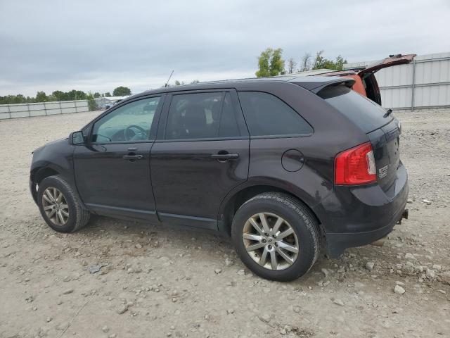 2FMDK4JC7DBB11544 - 2013 FORD EDGE SEL 棕色 照片 2