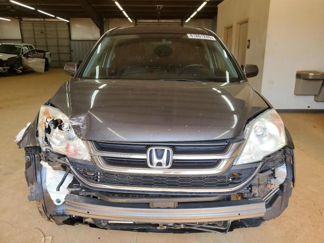 5J6RE4H79AL100318 - 2010 HONDA CR-V EXL GRAY photo 5