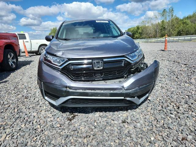 7FART6H51LE015392 - 2020 HONDA CR-V EX GRAY photo 5