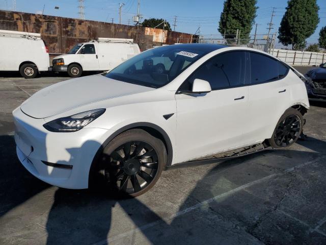 2020 TESLA MODEL Y, 