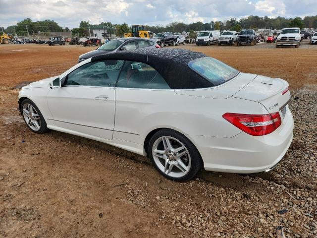 WDDKK7DF3DF184756 - 2013 MERCEDES-BENZ E 550 WHITE photo 2