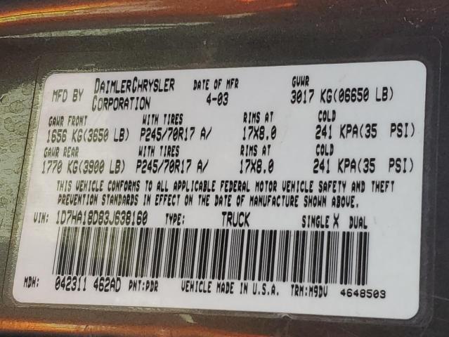 1D7HA18D83J638160 - 2003 DODGE RAM 1500 ST Graphit Foto 13