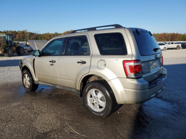 1FMCU0D71AKA53123 - 2010 FORD ESCAPE XLT GOLD photo 2