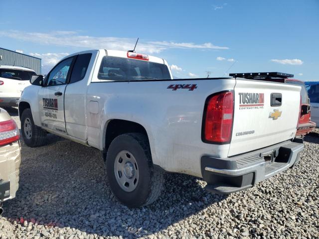 1GCHTBEA9K1207734 - 2019 CHEVROLET COLORADO 白色 照片 2