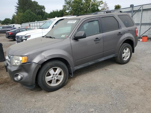 2012 FORD ESCAPE XLT, 