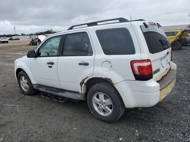 1FMCU0D73BKA93592 - 2011 FORD ESCAPE XLT WHITE photo 2