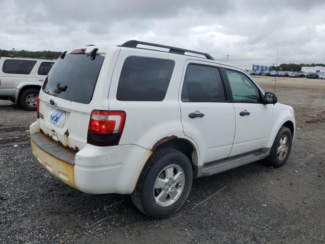 1FMCU0D73BKA93592 - 2011 FORD ESCAPE XLT WHITE photo 3