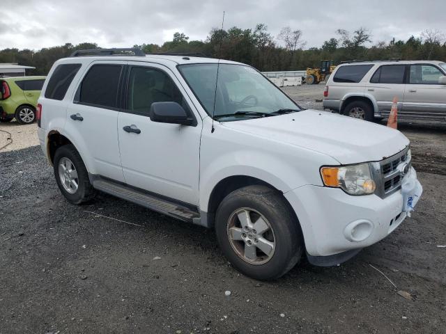 1FMCU0D73BKA93592 - 2011 FORD ESCAPE XLT WHITE photo 4