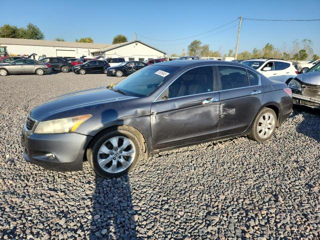 2010 HONDA ACCORD EXL, 