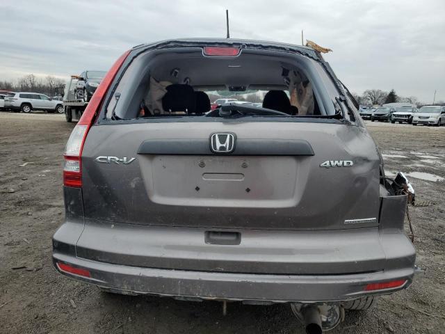 5J6RE4H43BL069557 - 2011 HONDA CR-V SE GRAY photo 6