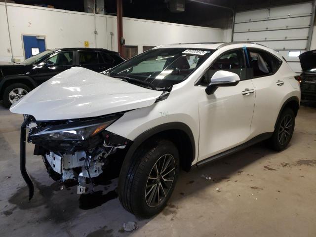 2024 LEXUS NX 350 BASE, 