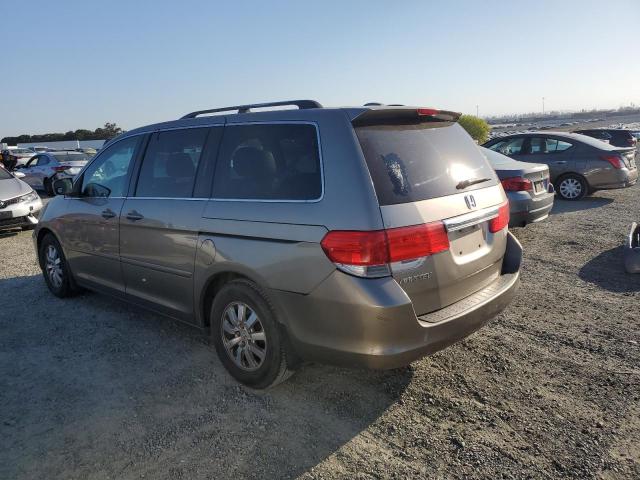 5FNRL38608B410125 - 2008 HONDA ODYSSEY EXL GOLD photo 2