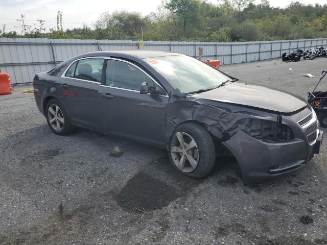 1G1ZC5E16BF111089 - 2011 CHEVROLET MALIBU 1LT Gris photo 4