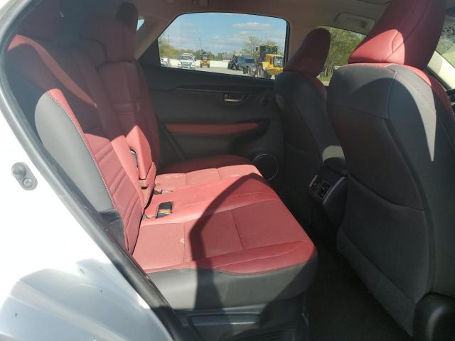 JTJDARDZ9M5028509 - 2021 LEXUS NX 300 BASE Սպիտակ լուսանկար 10