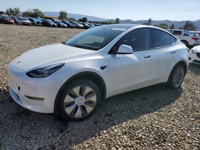 2023 TESLA MODEL Y, 