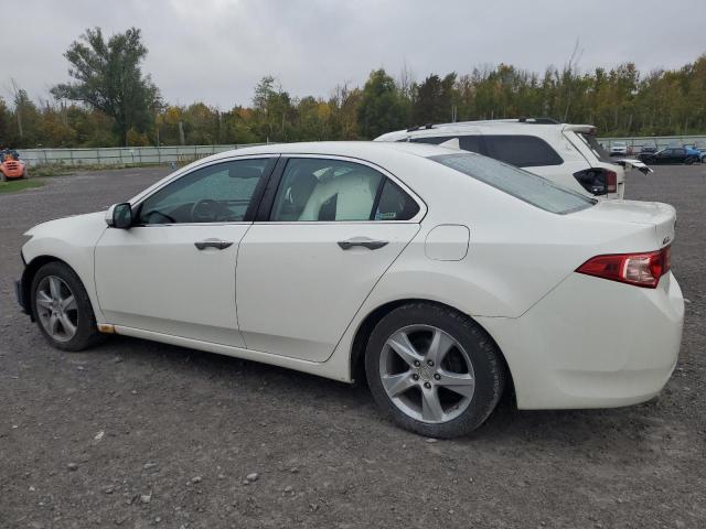 JH4CU2F64BC005064 - 2011 ACURA TSX WHITE photo 2