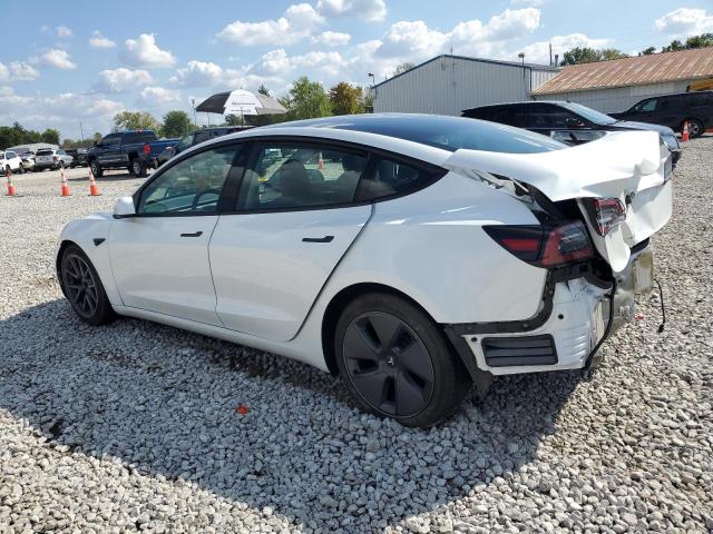 5YJ3E1EA3PF606782 - 2023 TESLA MODEL 3 Белый фото 2
