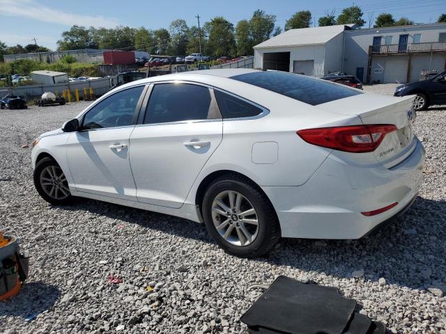 5NPE24AF5GH351932 - 2016 HYUNDAI SONATA SE 白色 照片 2