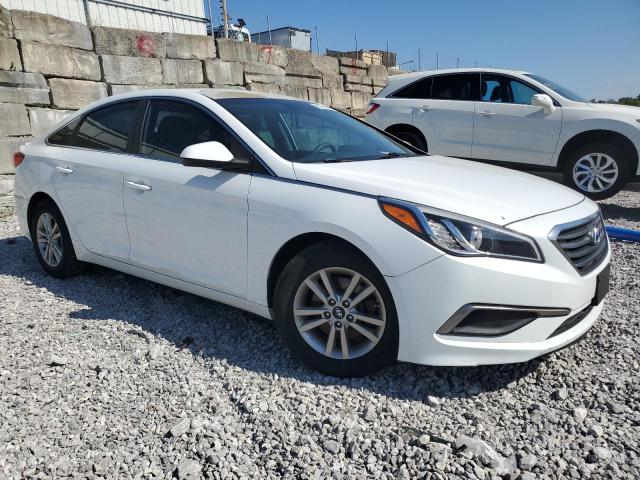 5NPE24AF5GH351932 - 2016 HYUNDAI SONATA SE 白色 照片 4