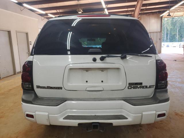 1GNDT13S632243386 - 2003 CHEVROLET TRAILBLAZE WHITE photo 6