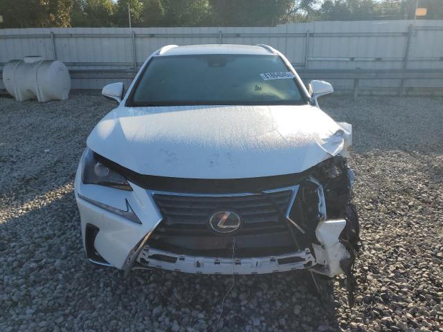 JTJYARBZ2J2103441 - 2018 LEXUS NX 300 BASE Սպիտակ լուսանկար 5