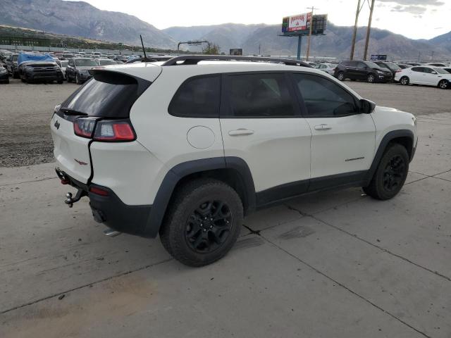 1C4PJMBX0KD141160 - 2019 JEEP CHEROKEE TRAILHAWK CREAM photo 3