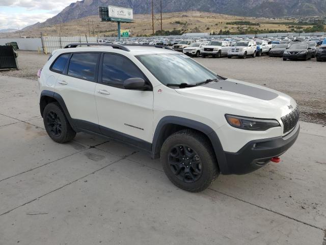 1C4PJMBX0KD141160 - 2019 JEEP CHEROKEE TRAILHAWK CREAM photo 4