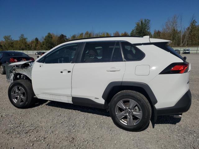 2T3RWRFV6RW191817 - 2024 TOYOTA RAV4 XLE Blanc photo 2