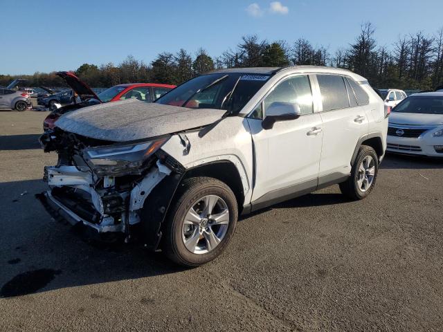 2025 TOYOTA RAV4 XLE, 