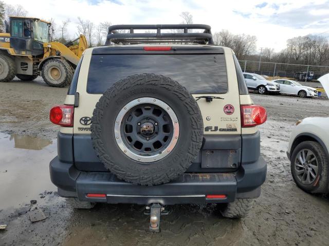 JTEBU4BF8AK074001 - 2010 TOYOTA FJ CRUISER TAN photo 6