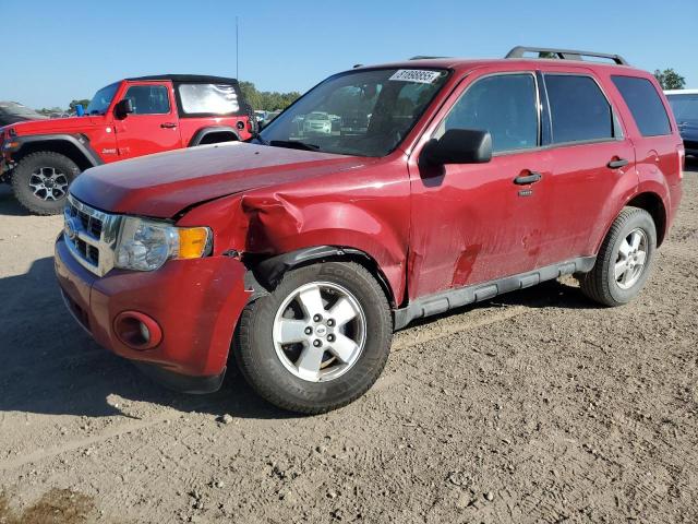 2011 FORD ESCAPE XLT, 