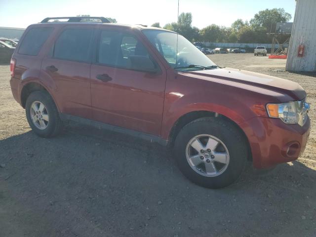 1FMCU0D70BKB90541 - 2011 FORD ESCAPE XLT RED photo 4