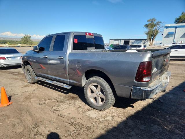 1D7RV1GT6AS188338 - 2010 DODGE RAM 1500 SILVER photo 2